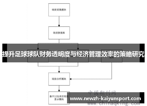 提升足球球队财务透明度与经济管理效率的策略研究 提升足球球队财务透明度与经济管理效率的策略研究