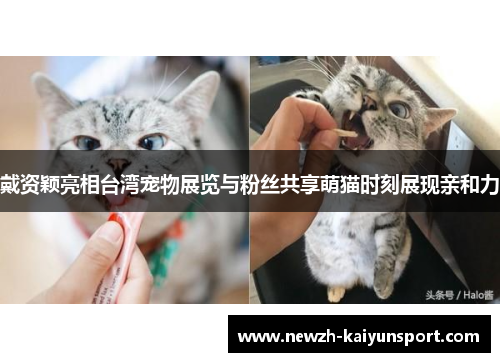 戴资颖亮相台湾宠物展览与粉丝共享萌猫时刻展现亲和力