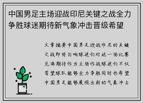 中国男足主场迎战印尼关键之战全力争胜球迷期待新气象冲击晋级希望 中国男足主场迎战印尼关键之战全力争胜球迷期待新气象冲击晋级希望